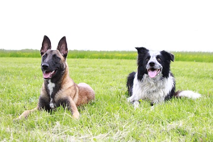 Bild kann nicht angezeigt werden