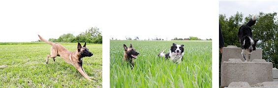 Bild kann nicht angezeigt werden